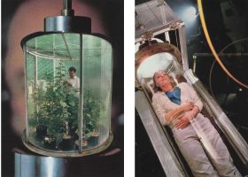 A man in a capsule on the left, a woman in a tube on the right
